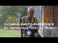 Olympus Photo Experience 82   Handholding Telephoto Lenses