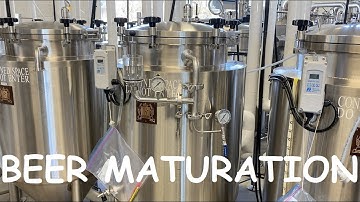 Beer Maturation Explained: From Secondary Fermentation to Lagering - (How is Beer Made?)