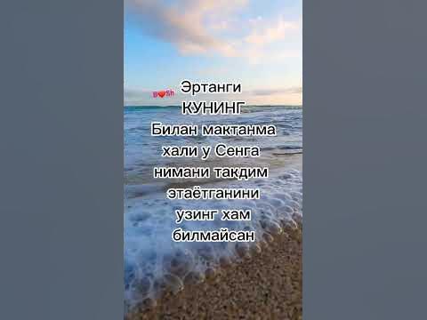 АССАЛОМУ АЛЕЙКУМ - YouTube
