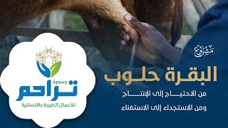 جمعية تراحم : مشروع  البقرة الحلوب / ذي الحجة 1442 هـــ