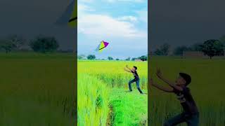 Cutting Kite Catch | #kite #kiteflying #kitecatching #shorts #patang #kitelooters #kitefighting screenshot 5