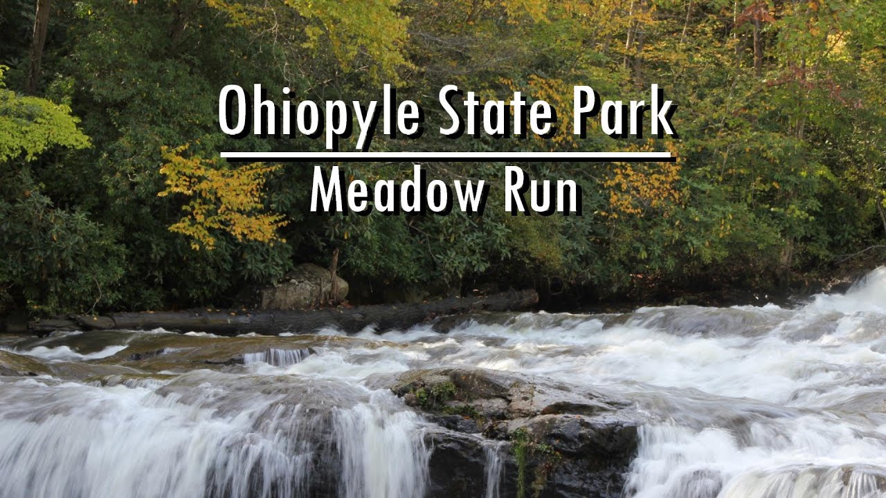 WBD Fly Fishing Euro Nymphing Ohiopyle State Park Meadow Run YouTube
