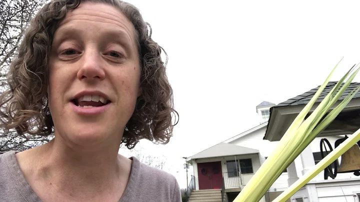 Rev. Nikki Edleman Palm Sunday reflection March 28...