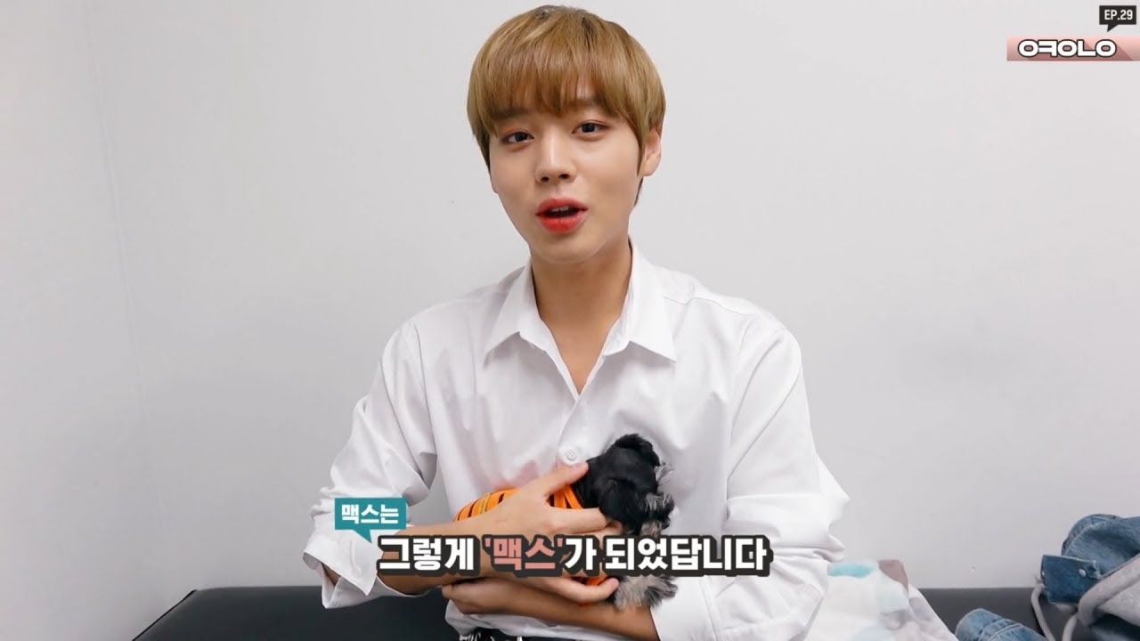 오케워너원 Ep. 29 BBQ 슈퍼콘서트 비하인드 (+다음 생엔 맥스로..)