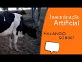 Inseminação artificial : falando sobre!