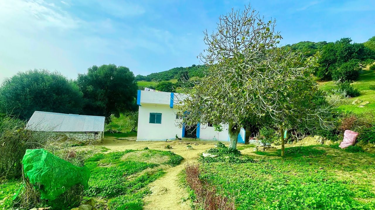 دار وغرسة راءعة كتحمق مفججة وعلى الطريق 0703640826نواحي الخميس انجرة طنجة