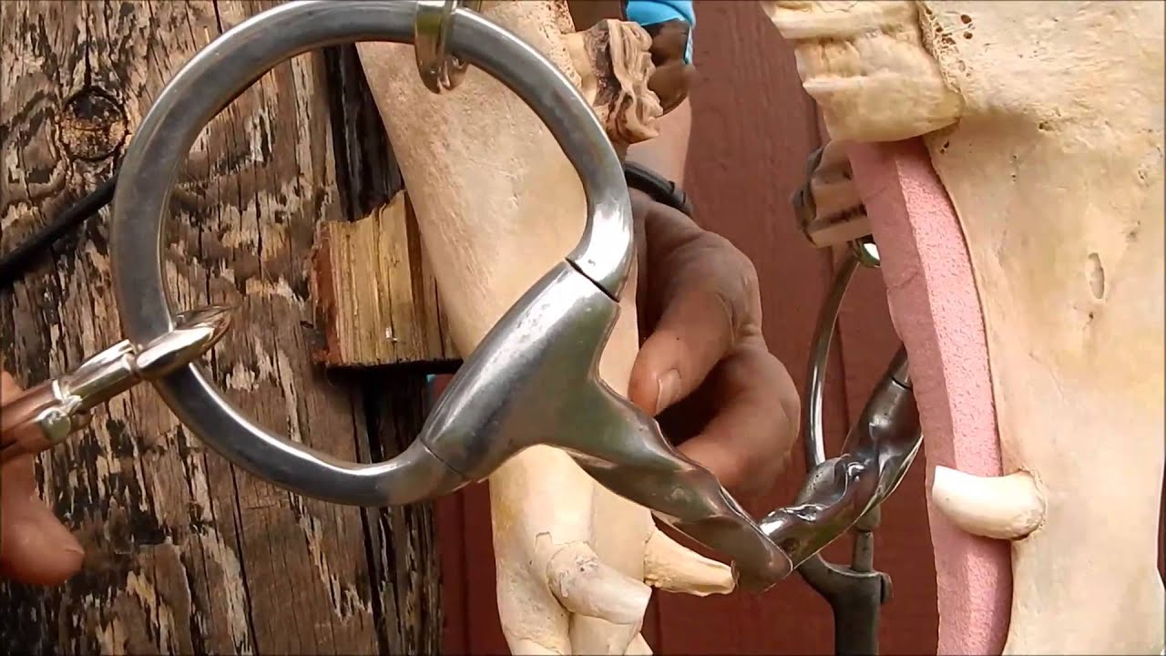 Slow Twist Fixed Ring Snaffle