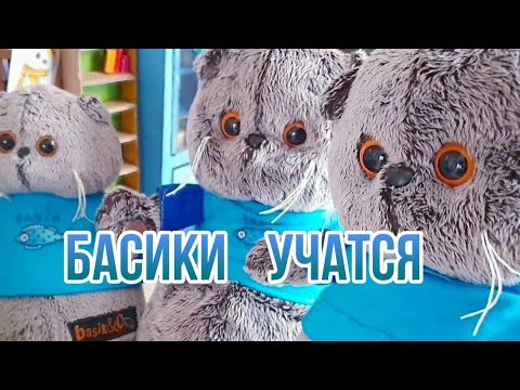 Видео школа басиков