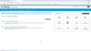 Comdata iConnectData Demo