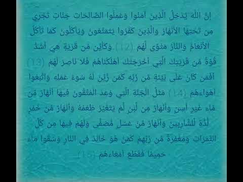 مقرر الحفظ للصف الثاني عشر التربية الإسلامية سورة محمد من 12 إلى 15