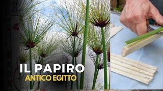 Il Papiro Nellantico Egitto Storia, Segreti E Usi