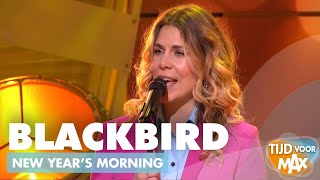 Watch Blackbird New Years Morning video