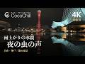 【虫の音/睡眠】雨上がりの神戸、水鏡の夜景 60分〜兵庫・神戸の港|睡眠・作業・勉強|自然音ASMR・音楽なし