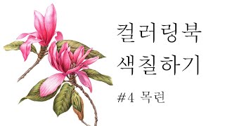 보태니컬 아트 컬러링북 색칠하기- 목련