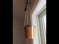 Copper Hanging Planter