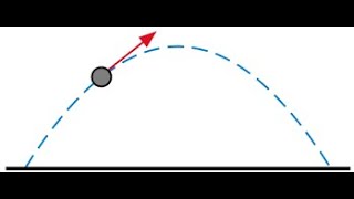 Physics Module 5 Projectile LAB