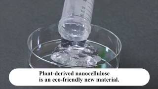 The Promise of Cellulose Nanofibers | nippon.com
