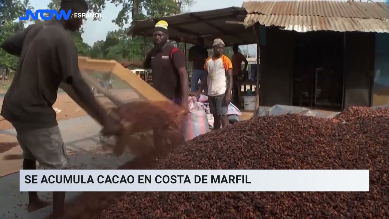 Se acumula cacao en Costa de Marfil