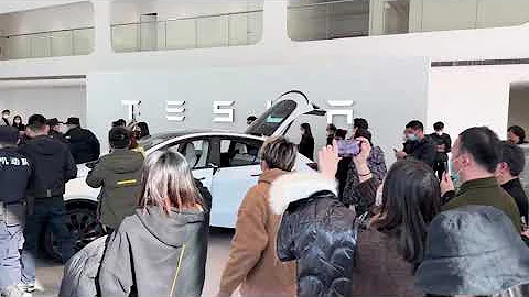 Tesla Store Xiaoshan, China protest of angry owners