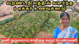 வறண்ட நிலத்தில் வளர்ந்த உணவுக்காடு | 12 வகை பழ மரம் 15க்கும் மேற்பட்ட மதிப்புகூட்டல்