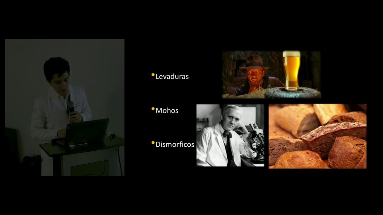 Infecciones pulmonares causadas por hongos Dr. Yehuda García
