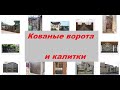 Кованые ворота и калитки: из профнастила, с элементами ковки, откатные и распашные, красивые изделия