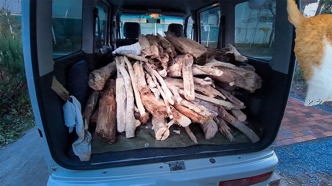 くさい中古車で無料の薪をゲット。チェンソーカットで猫を温めました