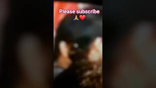 Assamese song 🔥🙏❤ #short #video #songs