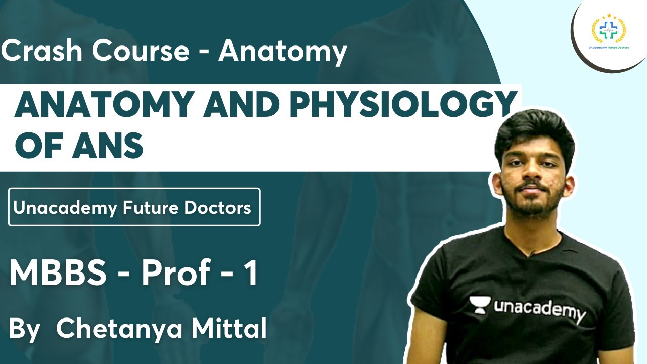 Anatomy and Physiology of ANS | MBBS Prof1 | Anatomy | Unacademy Future Doctors l Chetanya Mittal
