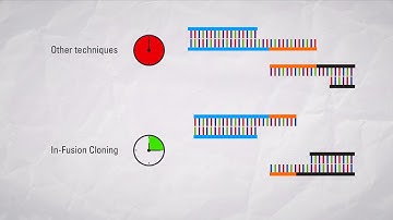 In-Fusion® Cloning vs. other seamless cloning technologies