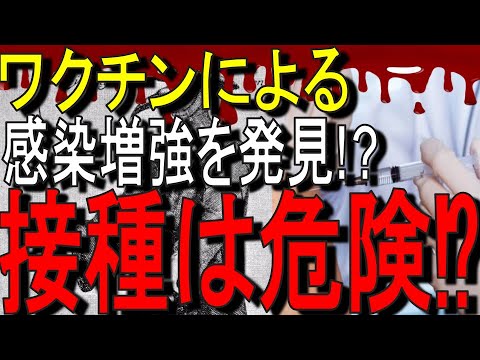 【11分でゆっくり解説】大阪大学がコロナワクチンを接種すると感染を増強させると発表｜阪大最新研究