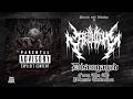 REQUIEM PHDM - DISENGAGED [OFFICIAL VISUALIZER] (2026) SW EXCLUSIVE