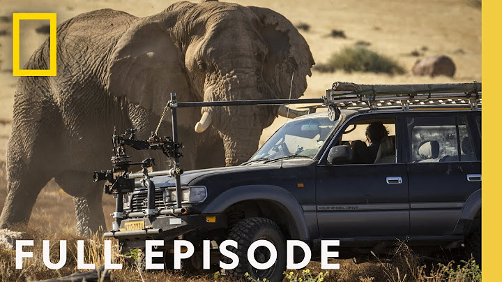 Desert (Full Episode) | Secrets of the Elephants | Executive Produced by James Cameron