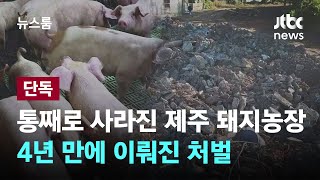 [단독] '땅으로 꺼졌나?' 통째로 사라진 돼지농장…4년 만에 이뤄진 처벌 / JTBC 뉴스룸