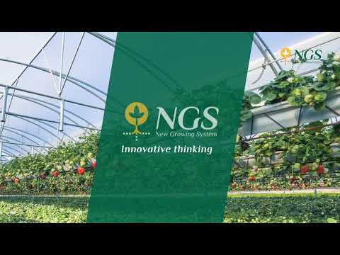 Strawberry NGS