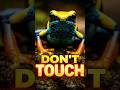 PARE inofensivă … DAR E toxică — DON’T TOUCH (Poison Dart Frog)