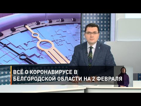 Всё о коронавирусе в Белгородской области на 2 февраля