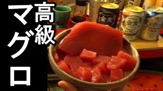 マグロで発泡酒飲み比べ＃１７【生放送キャンプ風】