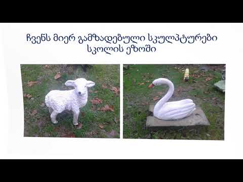 კარიერის დაგეგმვა 1