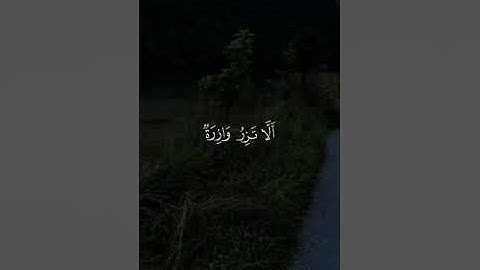 محمد اللحيدان- سورة النجم #محمد_اللحيدان #سورة_النجم #قرآن #قران_كريم