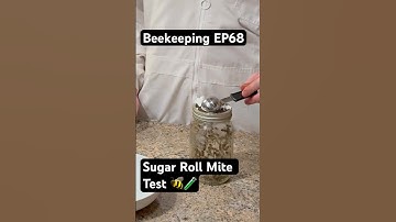 Beekeeping EP68 – Sugar Roll Mite Test 🐝🧪