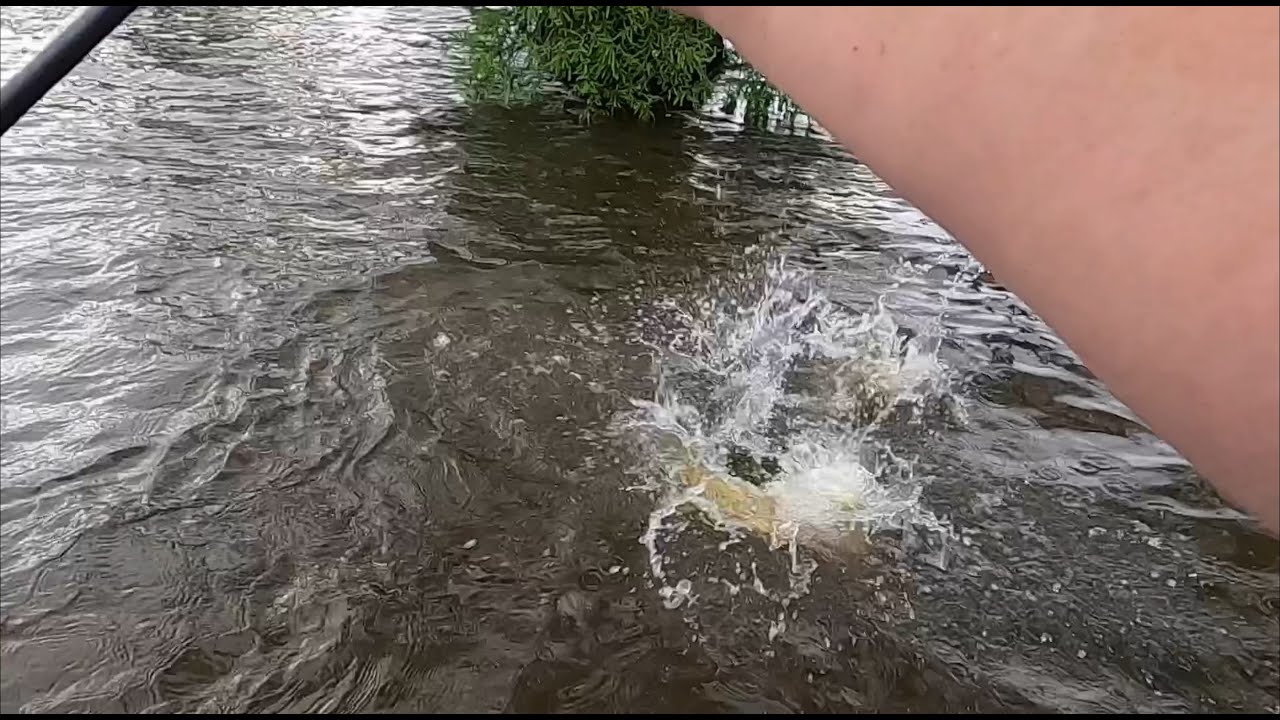 BASS FISHING MY HOME LAKE WITH THE BASS-O-COLOGIST!