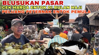 CEK HARGA ENTOK DI PASAR KUTOARJO