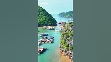 Làng chài Cái Bèo - Ngôi làng yên bình với lịch sử lâu đời ở Cát Bà 💦💦💦#haiphong