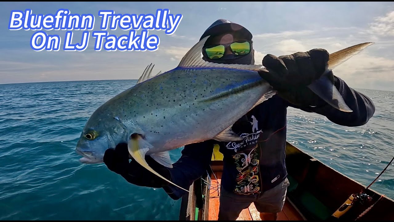 Mendaratkan tangkapan yang sempurna : Jigging dengan target ikan kerapu, kakap dan Trevally