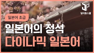 일본어의 정석! 다이나믹 일본어 초급 2