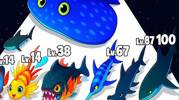 Fish Race 3D - Level Up Fish Max Level Gameplay