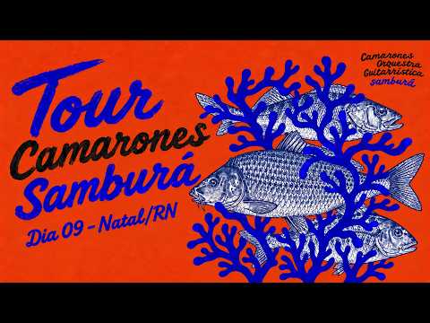Camarones Tour | Samburá 2026 | Day 09 . Natal/RN