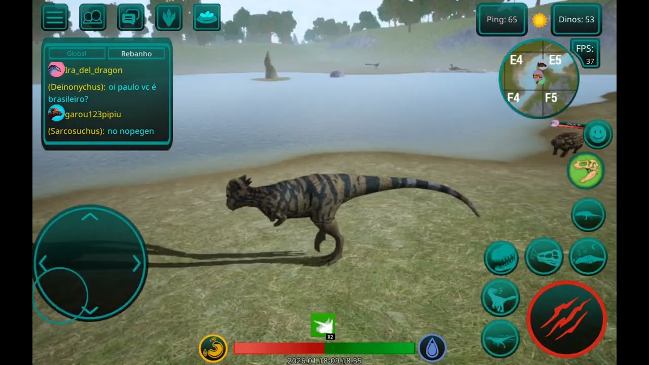 Jogando com paqui no [tci]