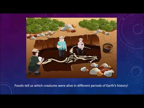 Video: Kā marķieru fosilijas ir saistītas ar ģeoloģisko laiku?